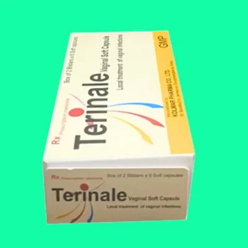 Mặt chính diện hộp thuốc Terinale