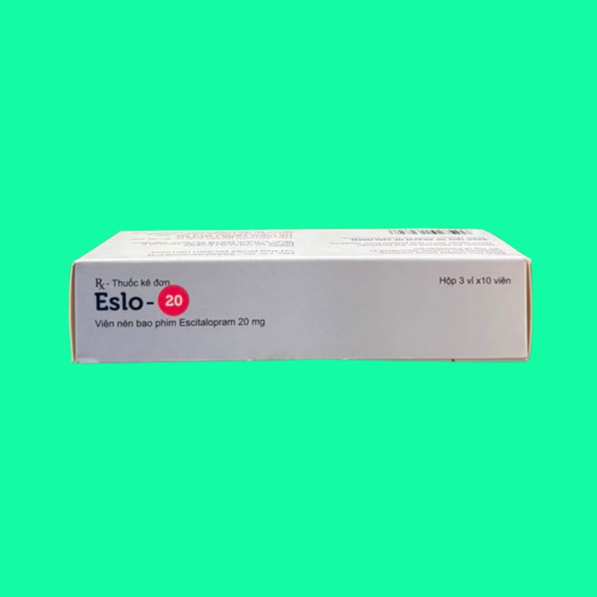 2 Eslo 20