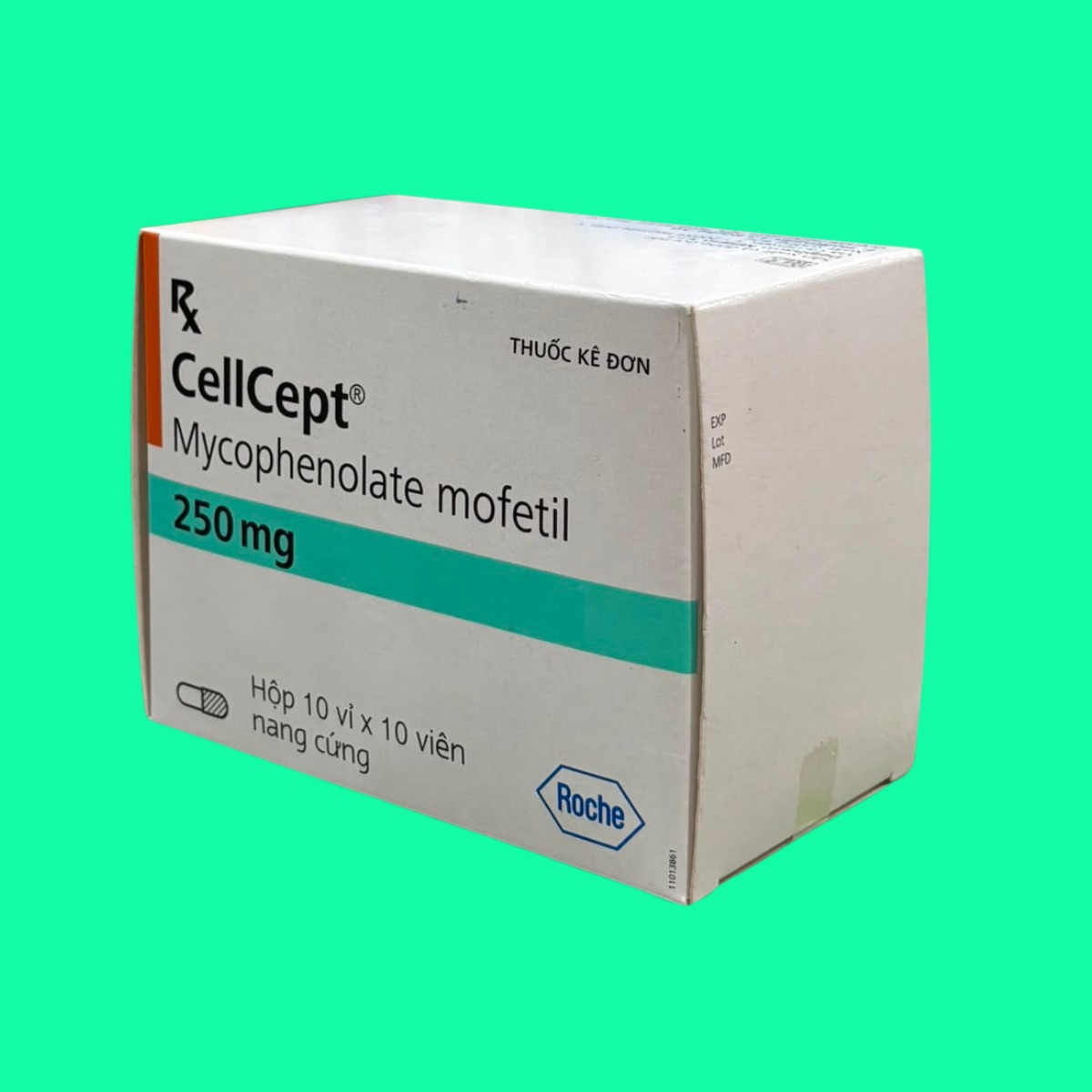 cellcept-250-4 CellCept 250mg