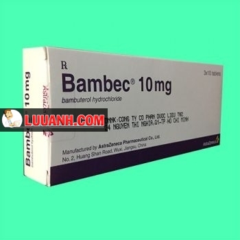 Bambec 1