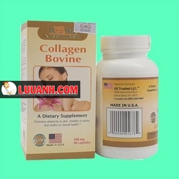 bovine Collagen