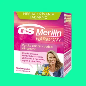 GS Merilin