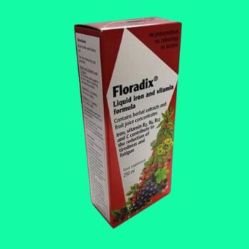Floradix Liquid Iron And Vitamin Formula