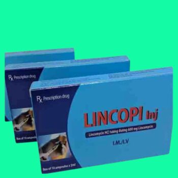Thuốc Lincopi Inj có tác dụng gì?