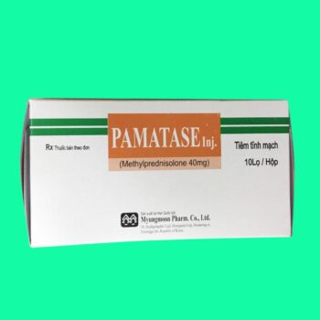 Thuốc Pamatase có tác dụng gì?