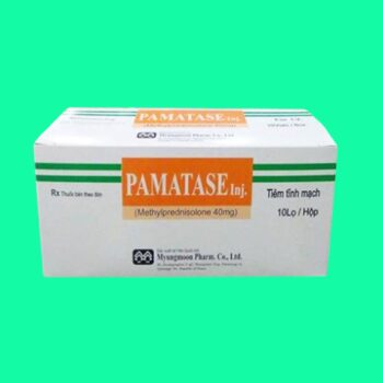 Thuốc Pamatase có tác dụng gì?