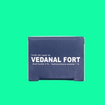 Vedanal Fort