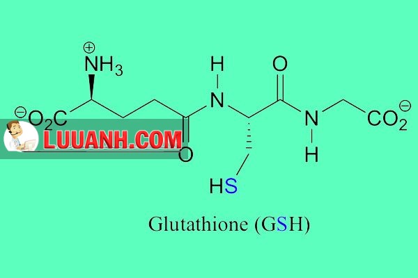 Công thức hóa học của glutathion