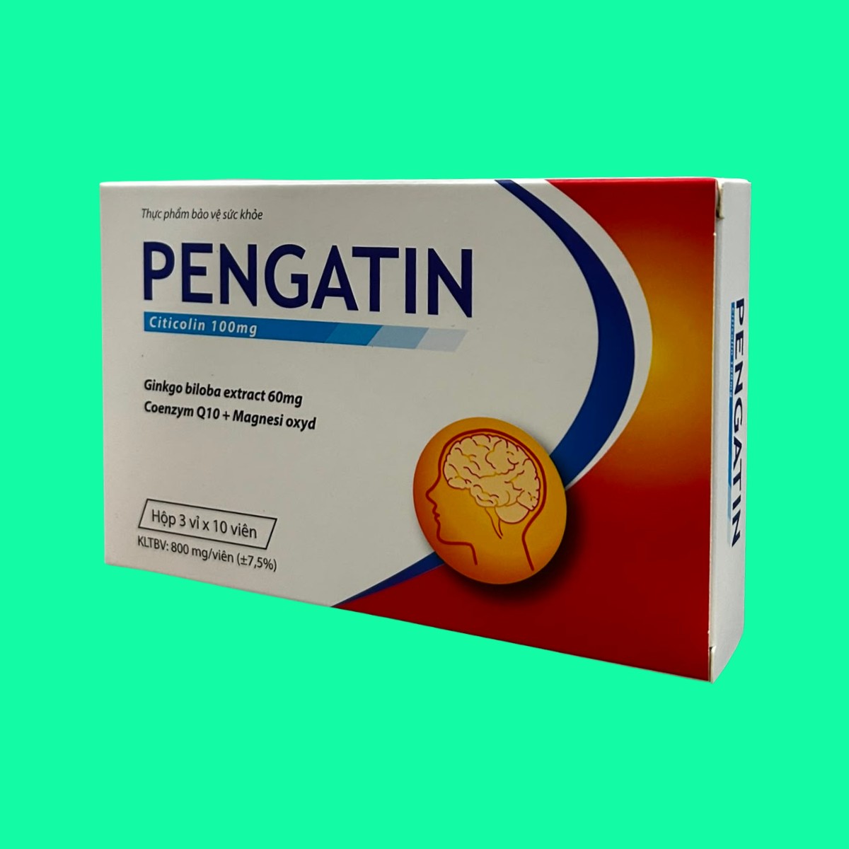 pengatin-4 Pengatin