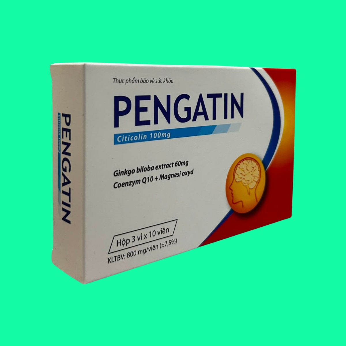 pengatin-5 Pengatin