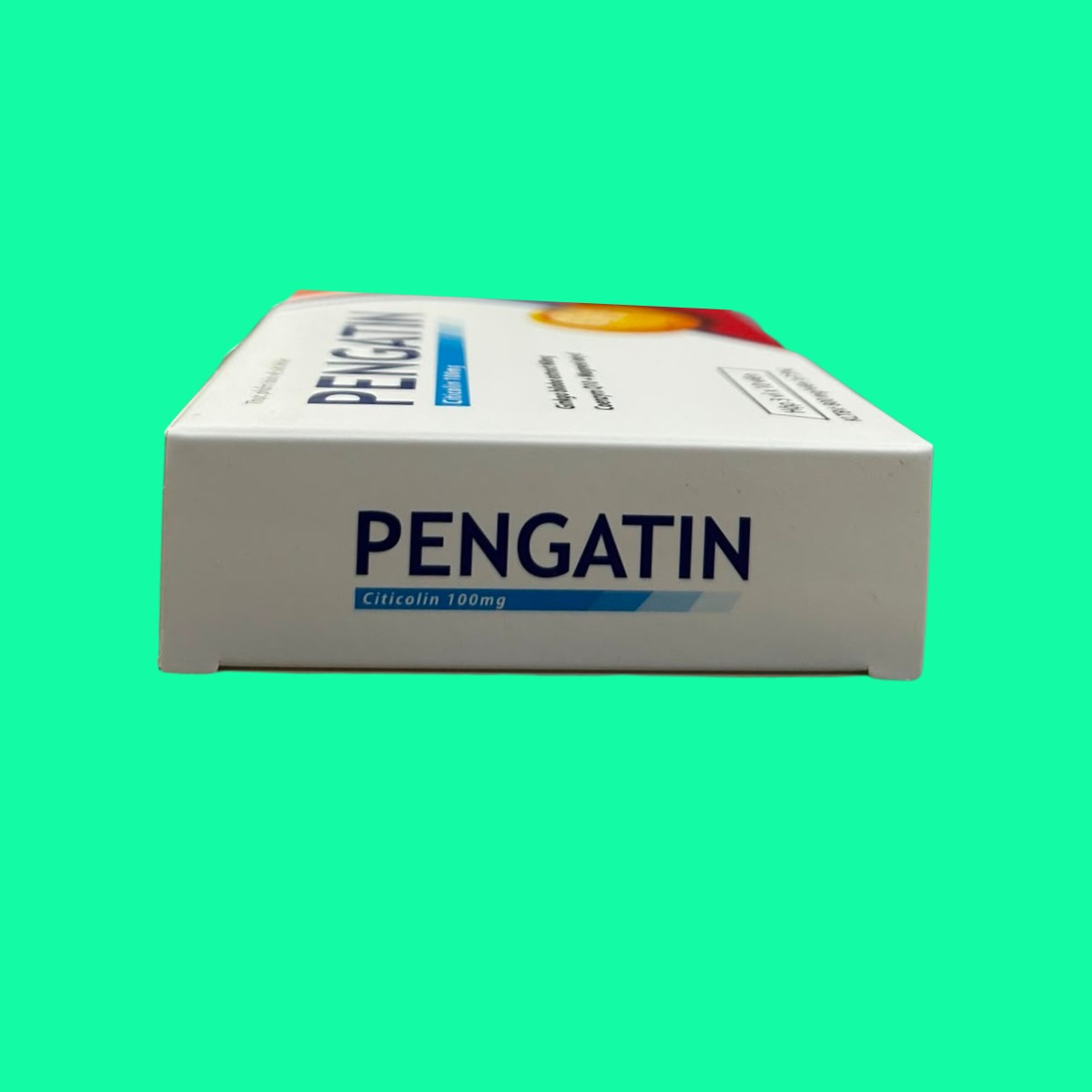pengatin-8 Pengatin