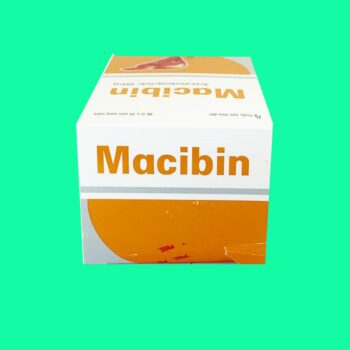 Macibin
