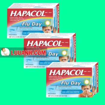 Thuốc Hapacol Flu Day
