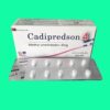 Thuốc Cadipredson 4 có tác dụng gì?