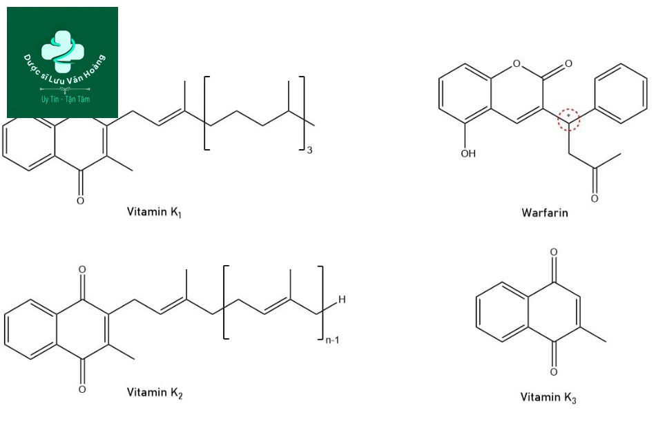 Cấu trúc của warfarin và vitamin K