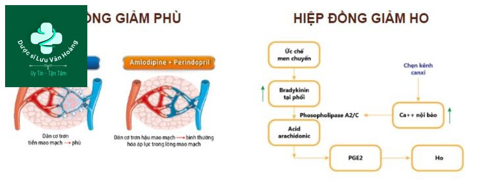 Phối hợp thuốc giảm tác dụng phụ