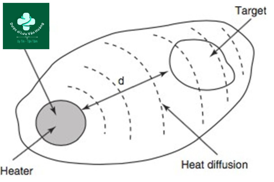 Cấu trúc chung của mô đích sinh học với chia tách không gian giữa mục tiêu và bộ phận hấp thụ (bộ gia nhiệt).