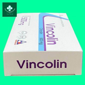 Hộp thuốc Vincolin 500mg dạng viên