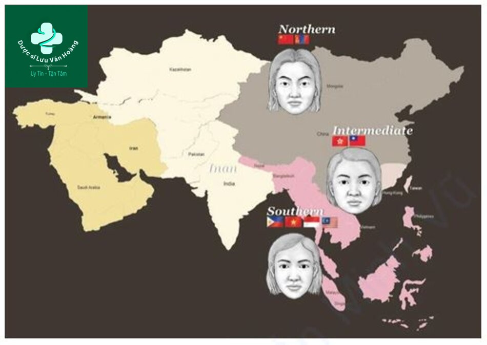 Hình 1.17 Hình thái khuôn mặt của người châu Á theo các vùng địa lý