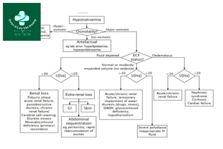 Nguyên nhân của hạ natri máu giảm áp lực thẩm thấu không thể được xác định từ các thăm dò đơn giản mà không cần thăm khám lâm sàng.