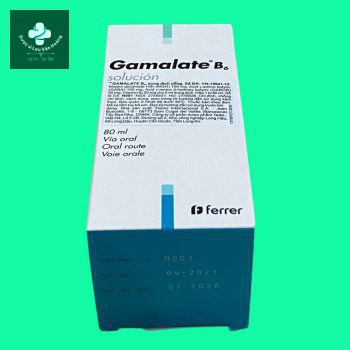 gamalate b6 1