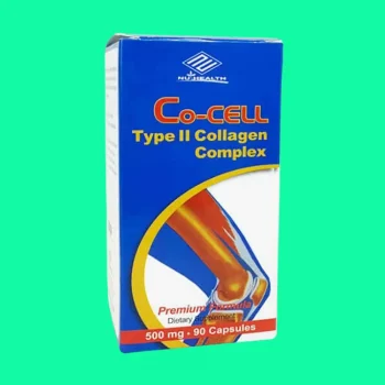 Co cell Type II Collagen 3