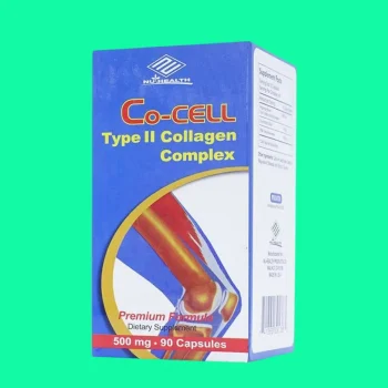 Co cell Type II Collagen