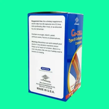 Co cell Type II Collagen 4