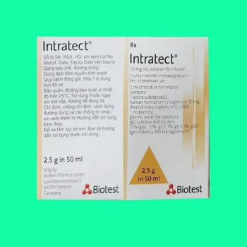 intratect 4