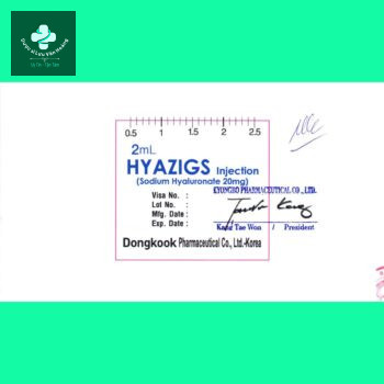 Hyazigs Injection