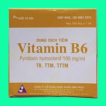 Thuốc Vitamin B6 100mg/ml Vinphaco