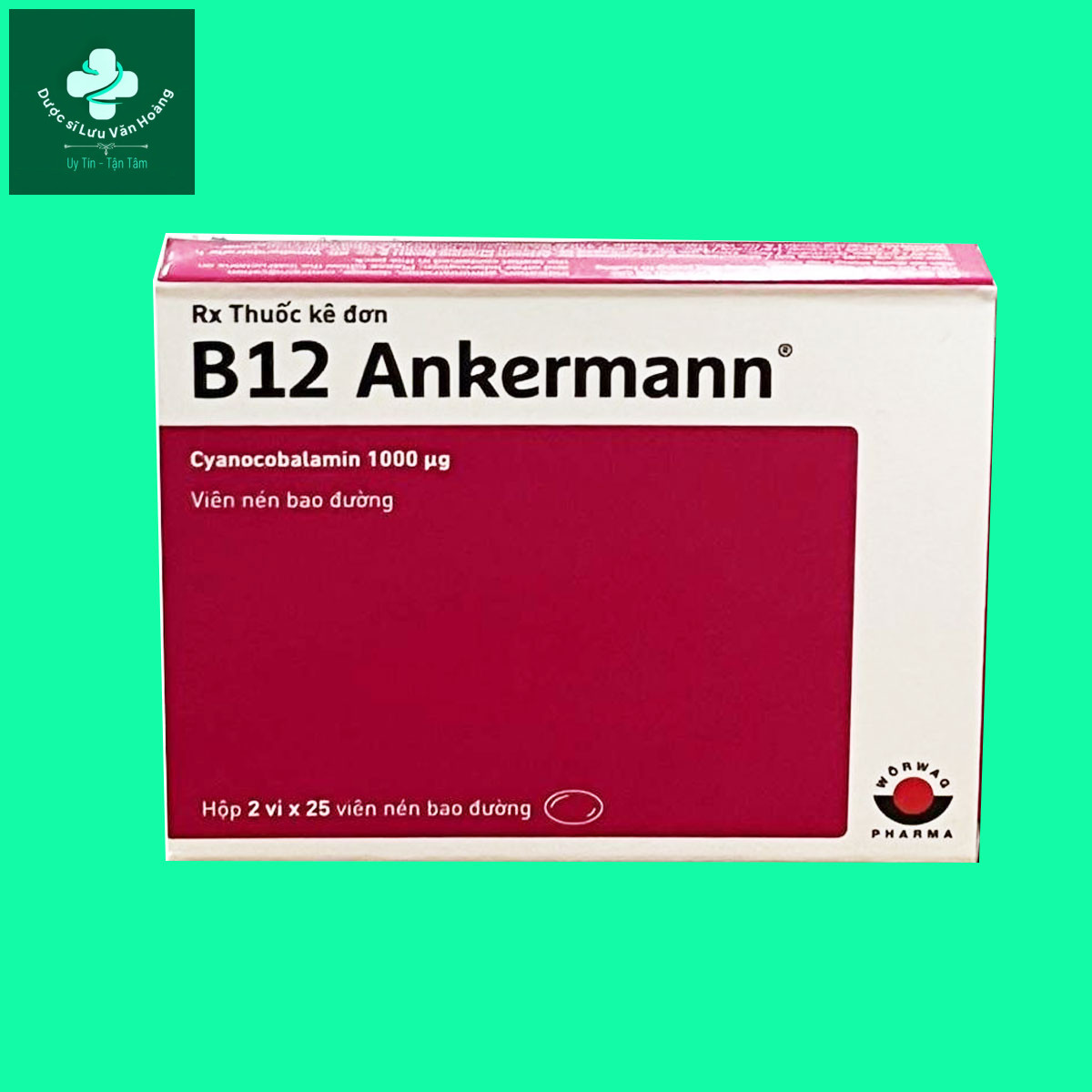 B12 Ankermann: Phòng và điều trị bệnh thiếu máu - Dược sĩ Lưu Văn