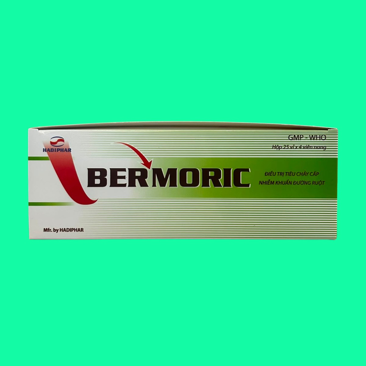 bermoric-2-vnras Bermoric