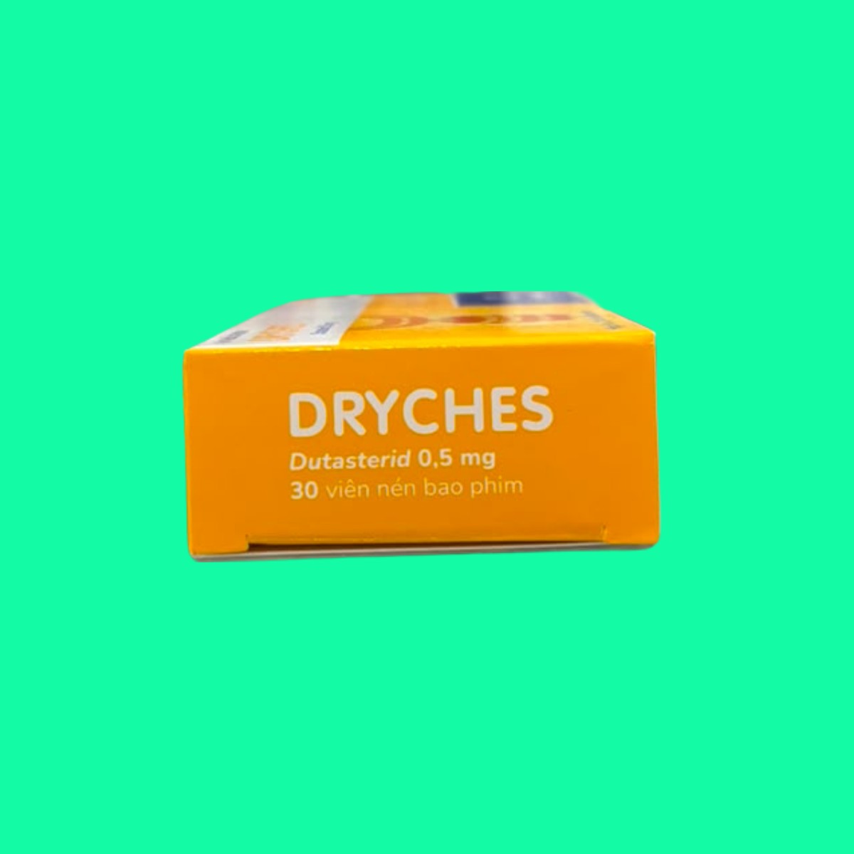 dryches-6 Dryches