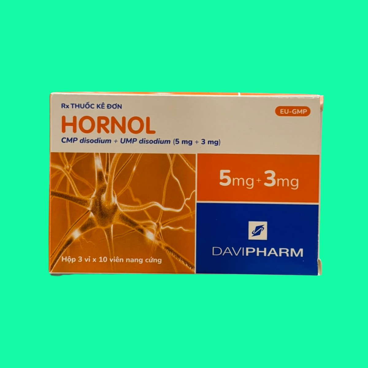 hornol-1 Hornol