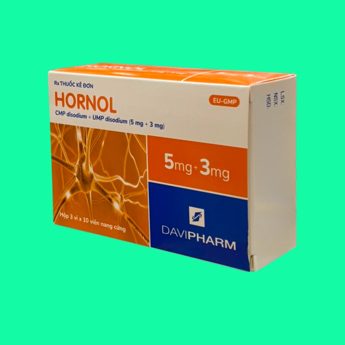 hornol-2 Hornol
