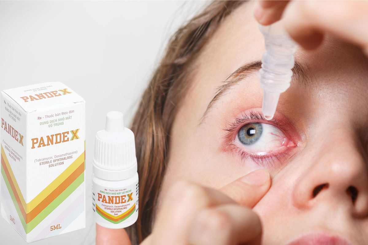 Thuốc Pandex điều trị viêm nhiễm ở mắt