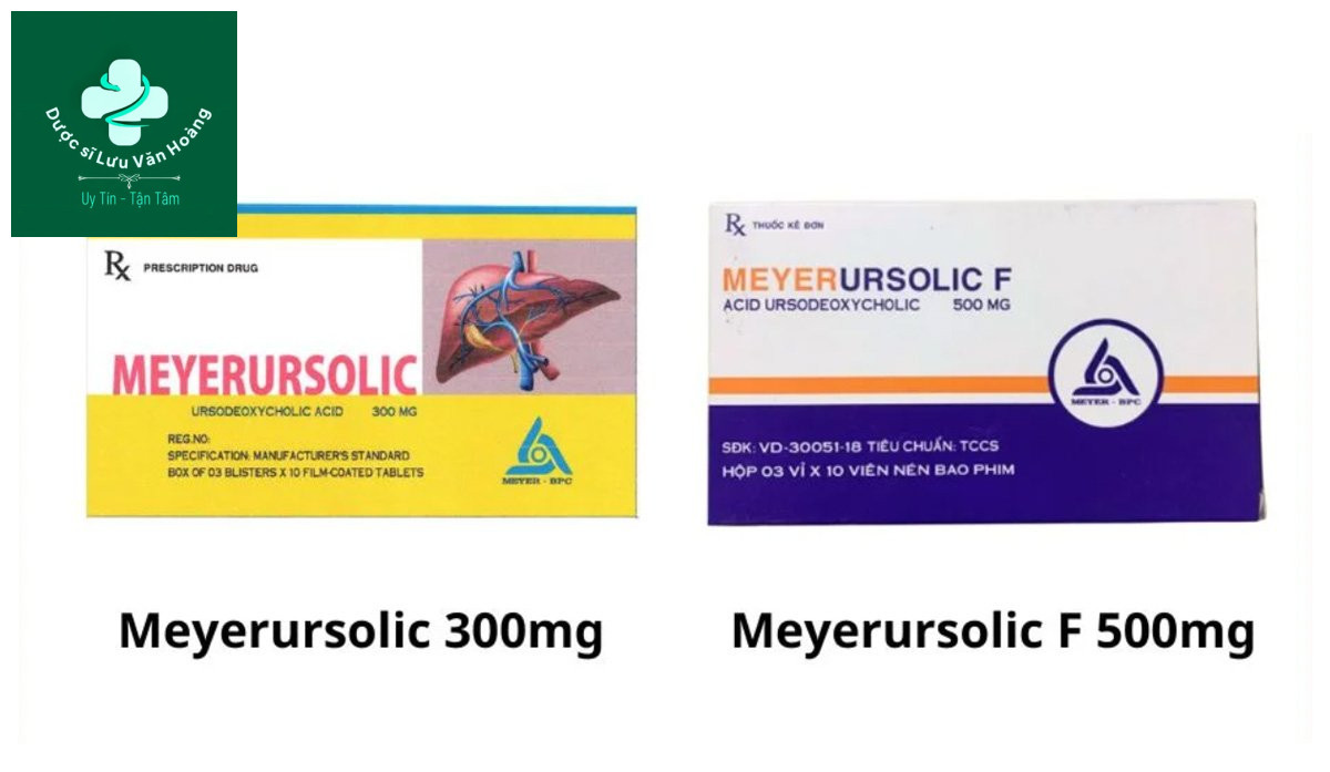 So sánh 2 thuốc Meyerursolic 300mg và Meyerursolic F 500mg