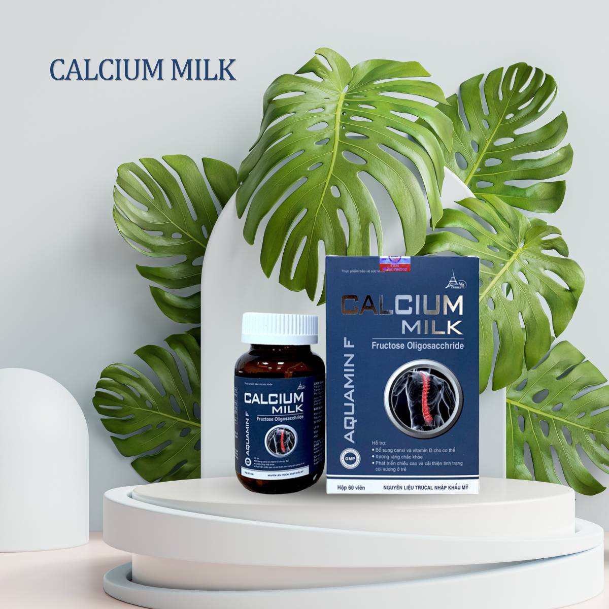 Calcium Milk