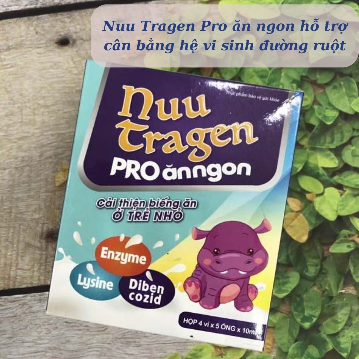 Nuu Tragen Pro ăn ngon