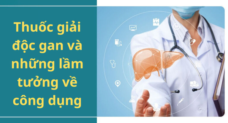 Thuốc giải độc gan và những lầm tưởng về công dụng