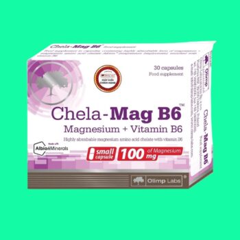 Chela-Mag B6