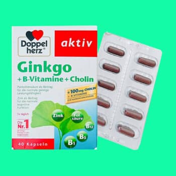 Doppelherz Aktiv Ginkgo + B-vitamine + Choline