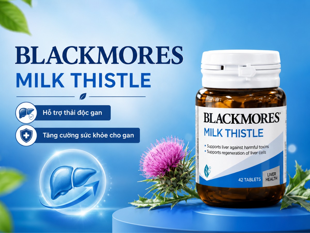 Blackmores Milk Thistle 11 Blackmores Milk Thistle hỗ trợ thải độc gan, tăng cường sức khỏe cho gan