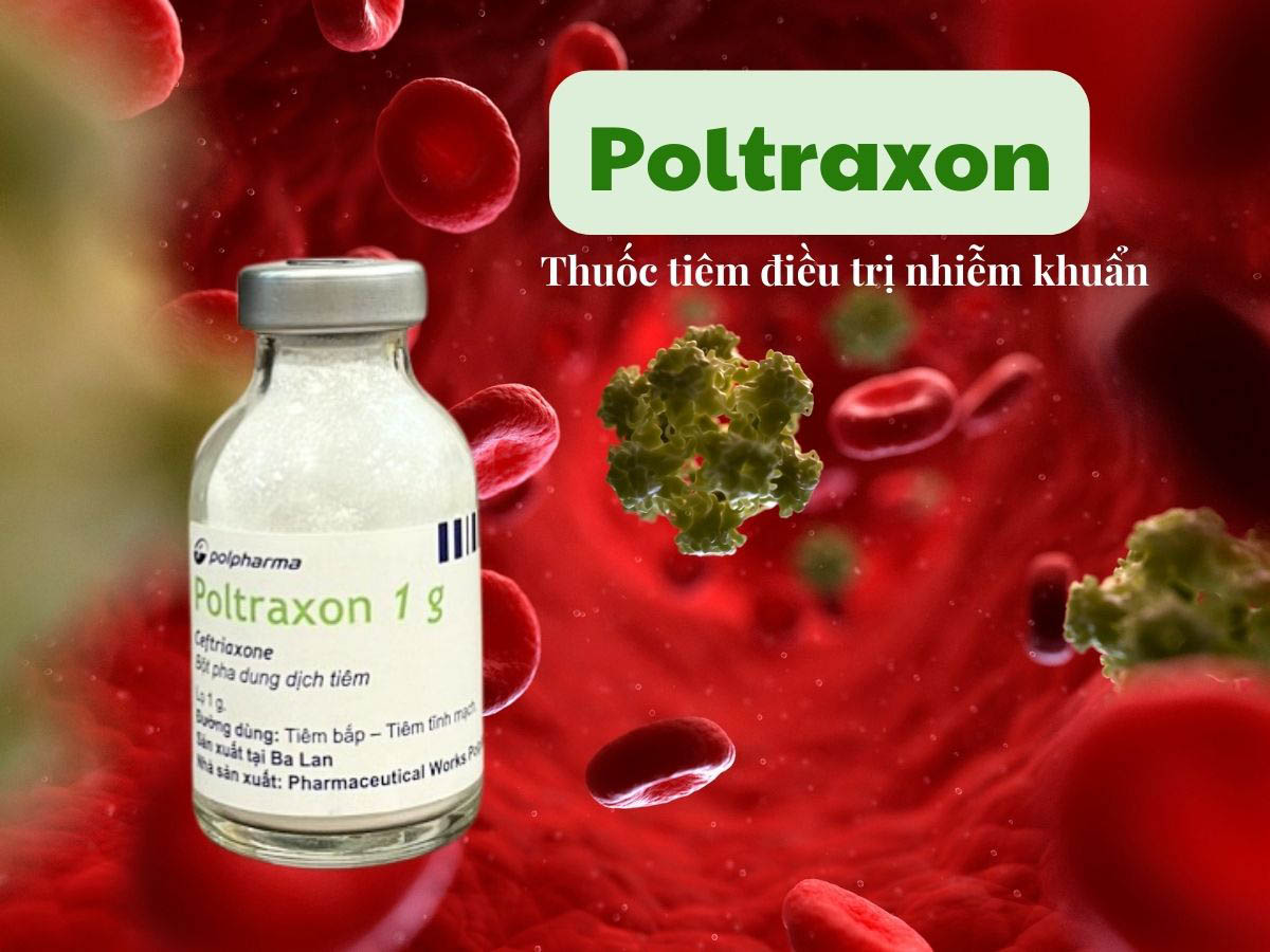 Poltraxon là thuốc điều trị nhiễm khuẩn nặng