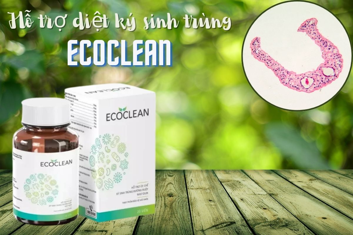 Ecoclean chứa thành phần được chiết xuất từ thiên nhiên