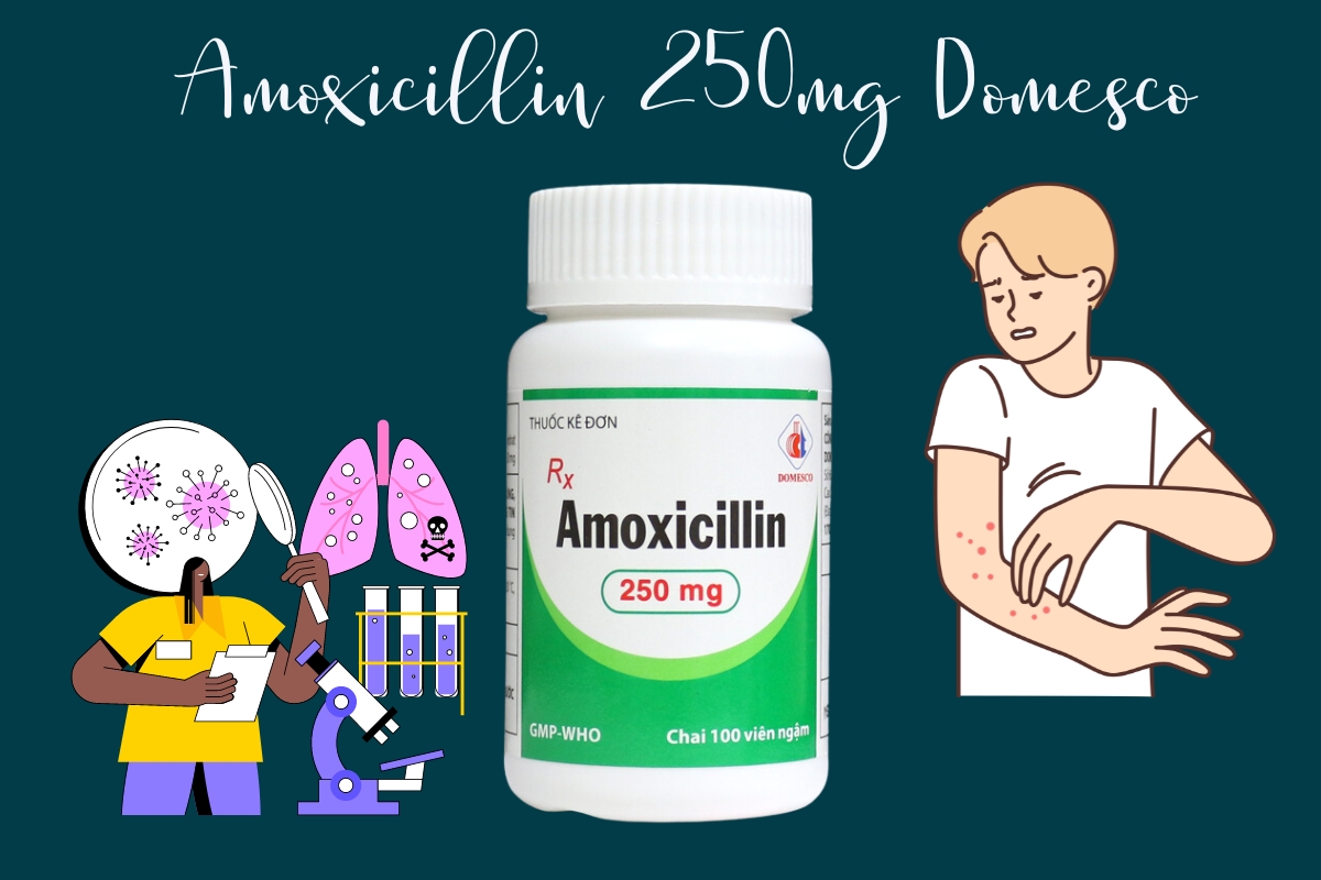 Amoxicillin 250mg Domesco điều trị nhiễm khuẩn