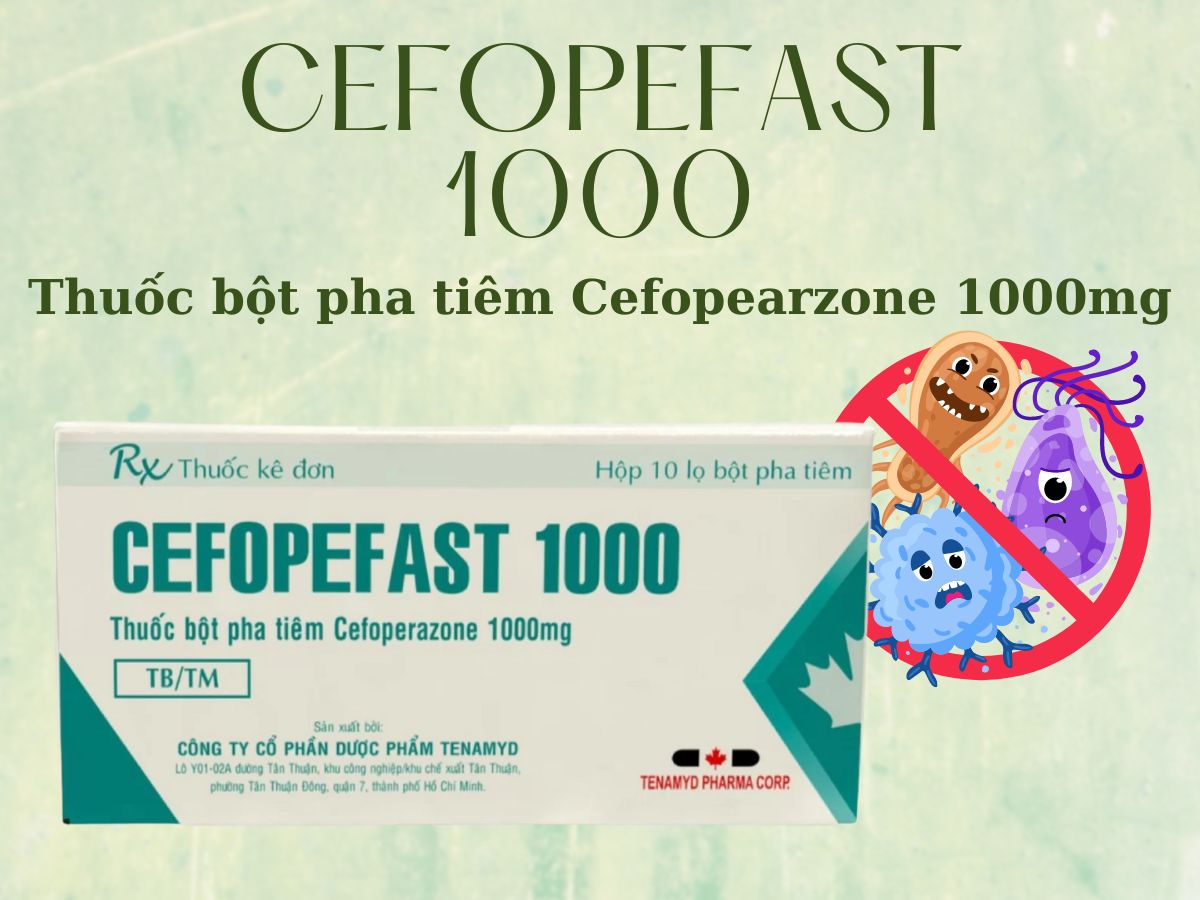 Cefopefast 1000 có công dụng gì?