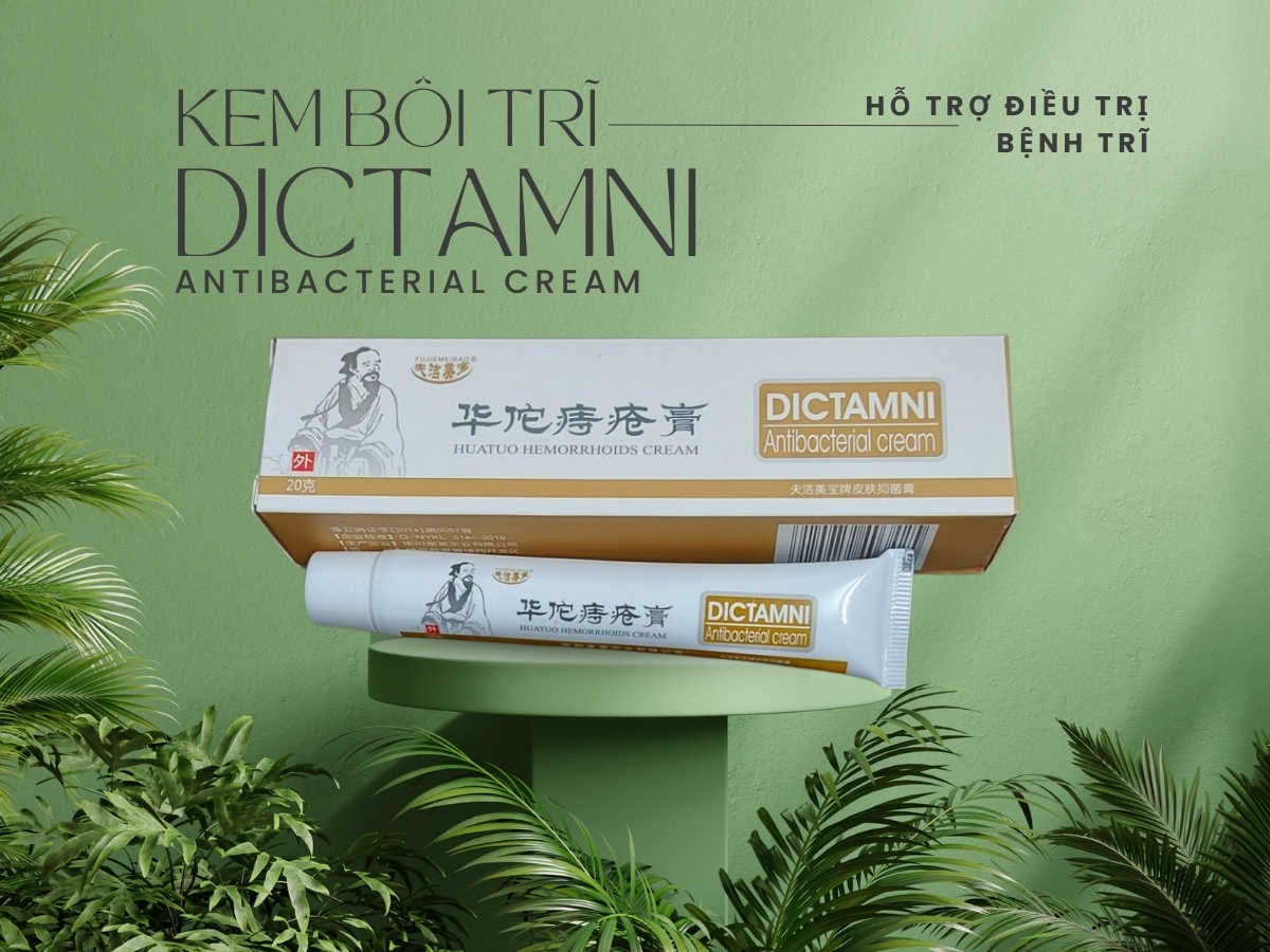 Kem bôi trĩ Dictamni Antibacterial Cream giúp cải thiện triệu chứng của bệnh trĩ