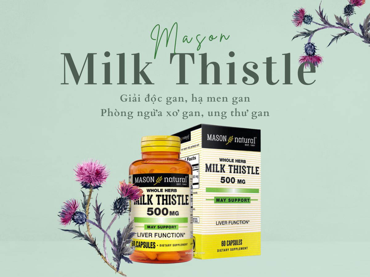 Mason Milk Thistle 500mg - Giải pháp hỗ trợ giải độc gan 